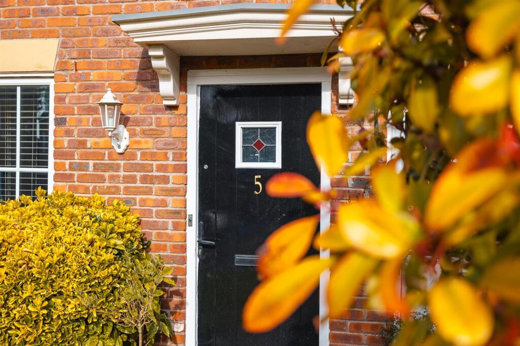 5 Torr Drive-8.jpg