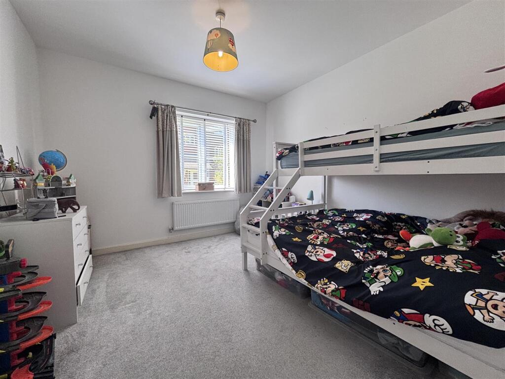 Briar bed 2.jpg
