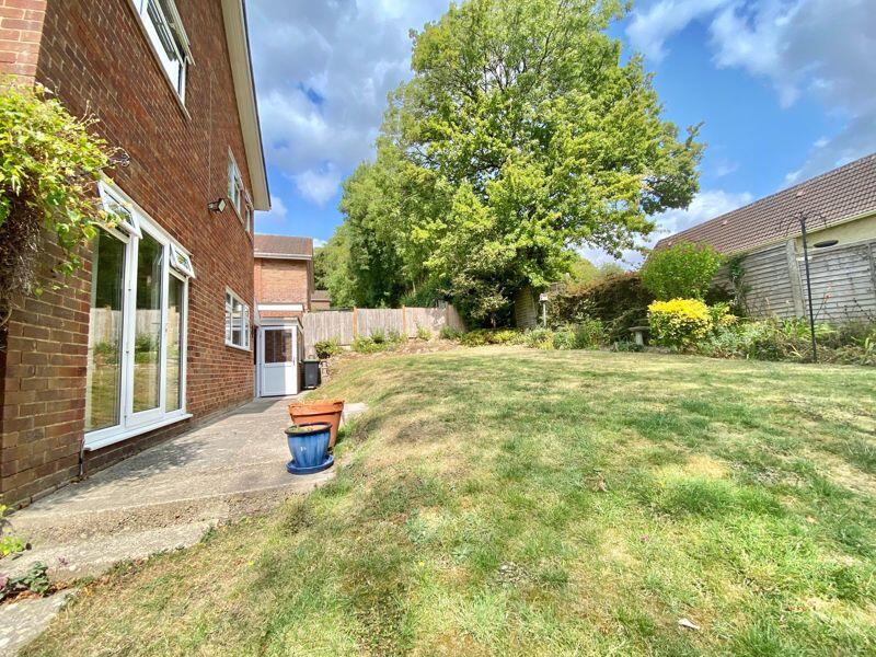 The Rear Garden