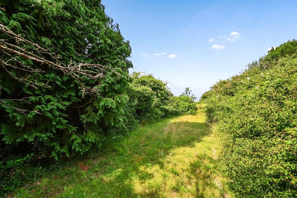 Orchard