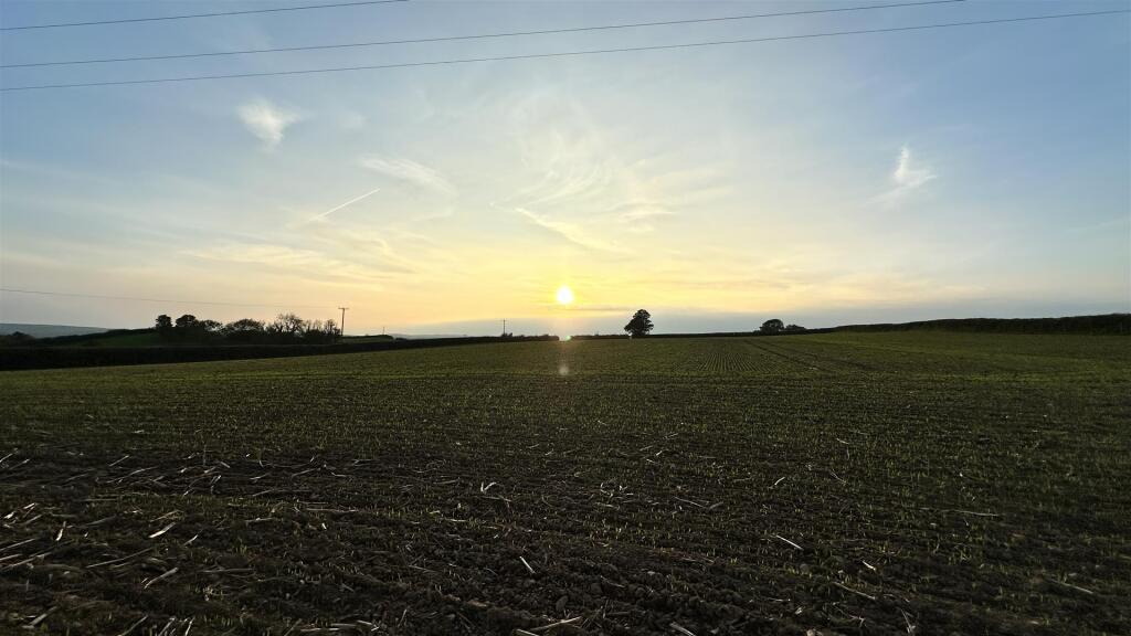 IMG_8581.jpg