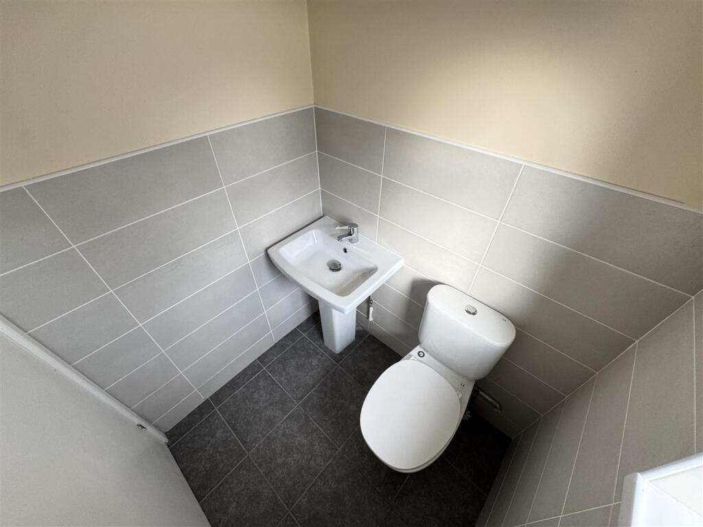 IMG_2266 (Large).JPG