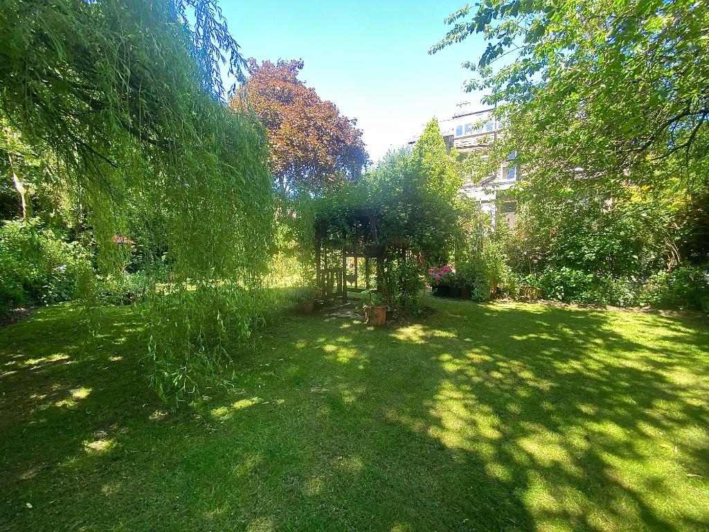 SHARED GARDEN