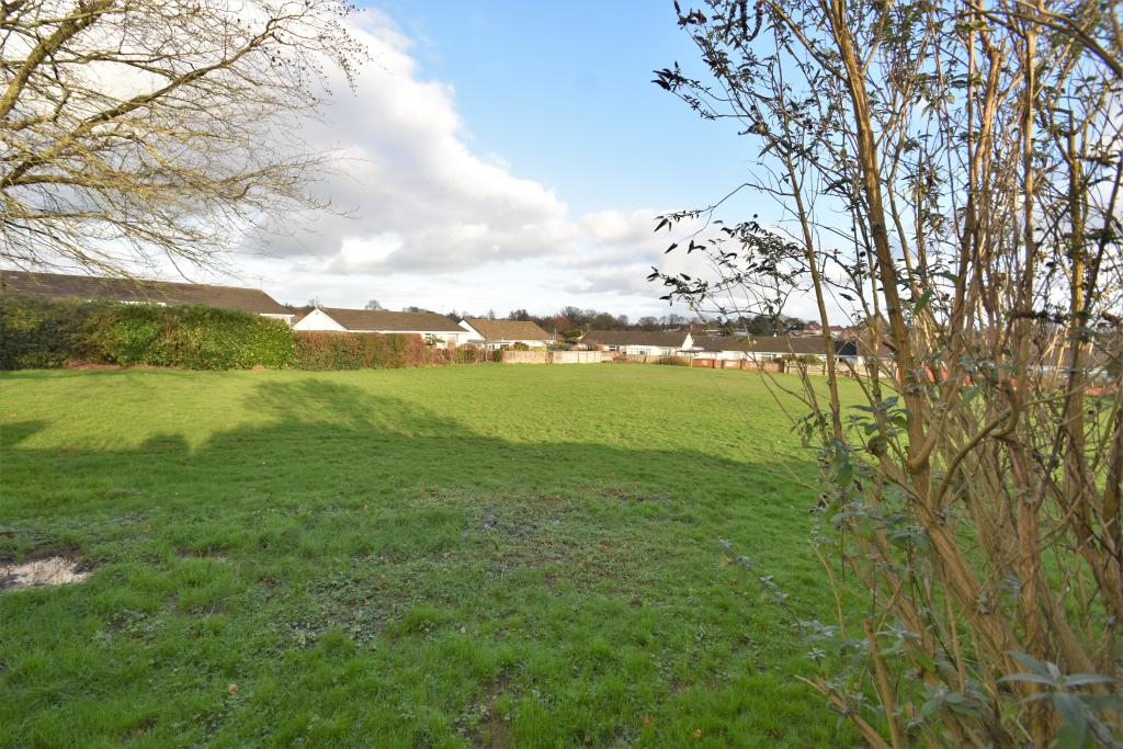 Tiverton Seddons