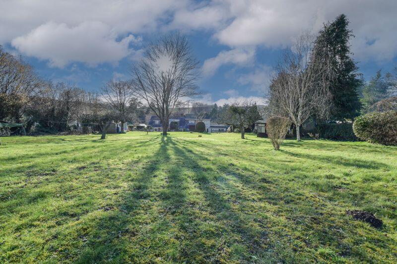 View from top of garden
