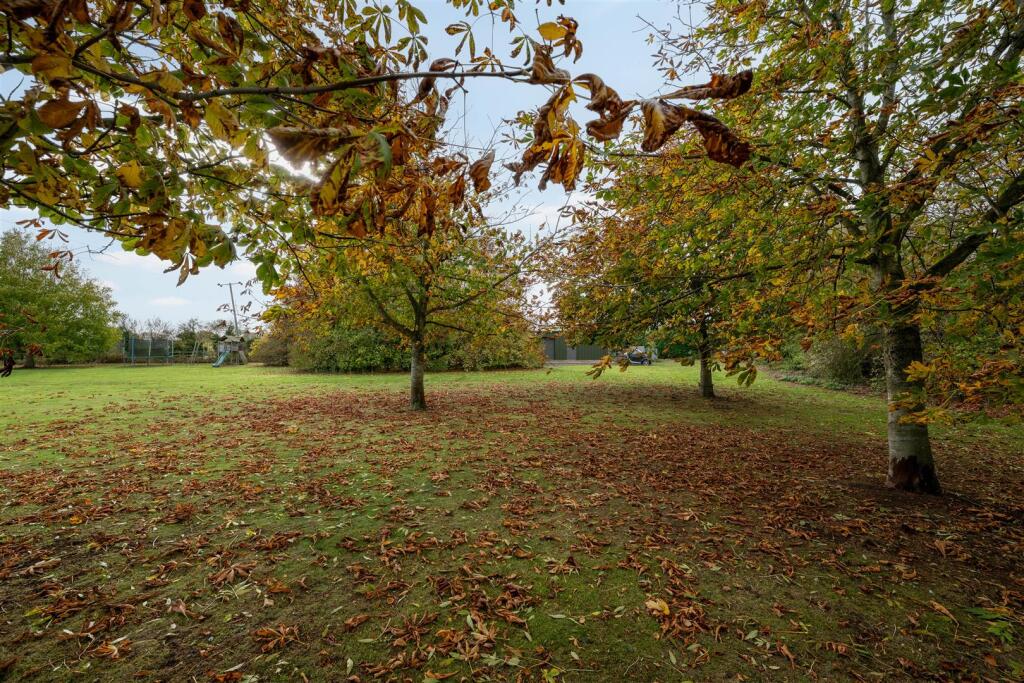 251023 - Silver Birches, Bolnhurst - 65.jpg