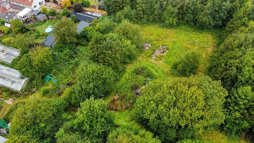 Photo 19-08-2024, 13 57 49 (28)_Alto.jpg