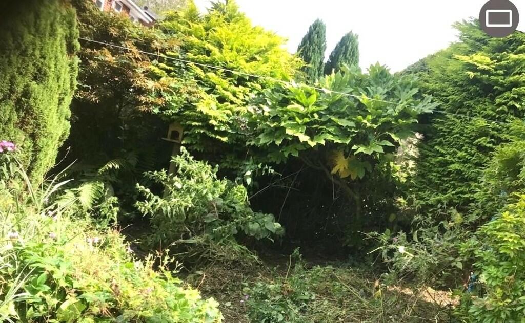 939d1a5b-2f98-427...