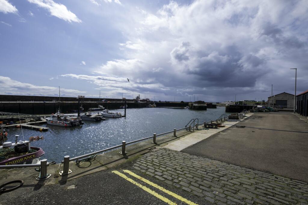 Harbour View