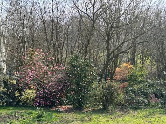 Garden 1.jpg