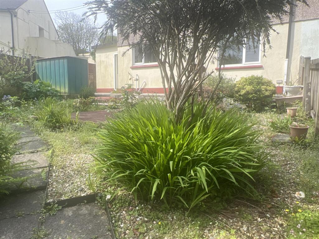 Back Garden