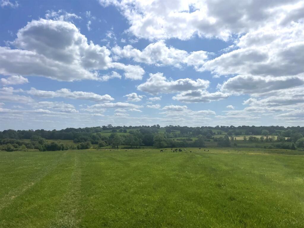 Lot 5