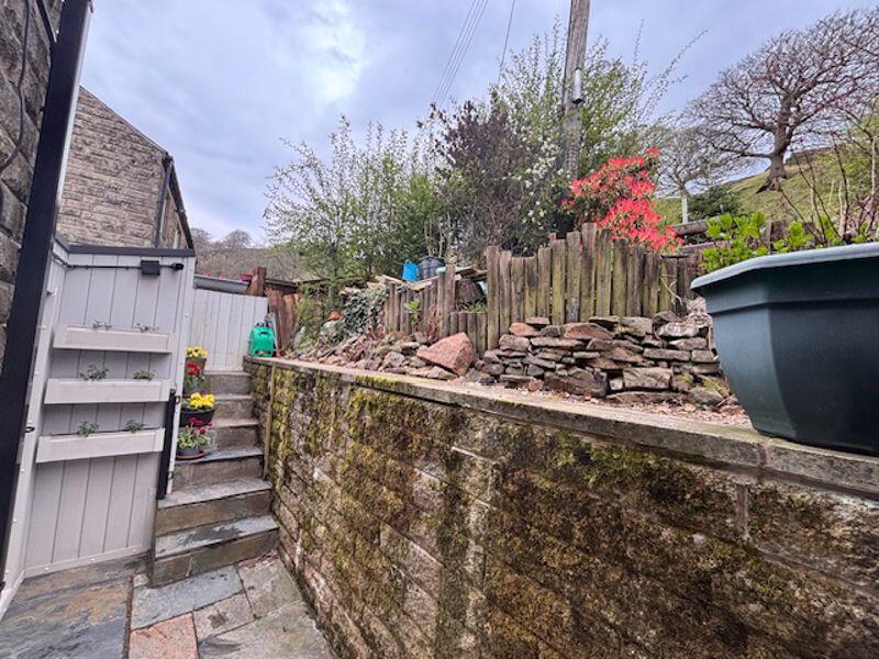 Rear Yard