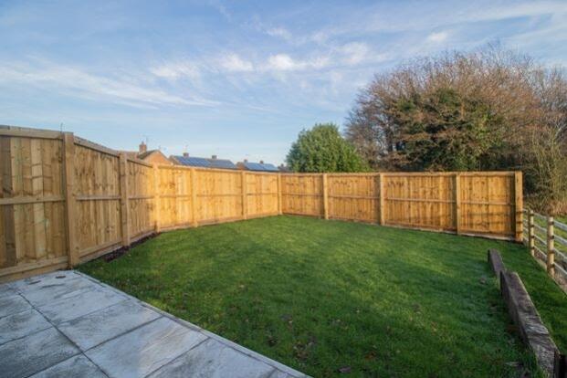 Back garden 1