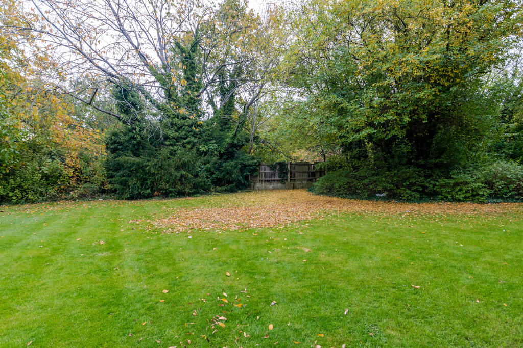 Communal Garden 1