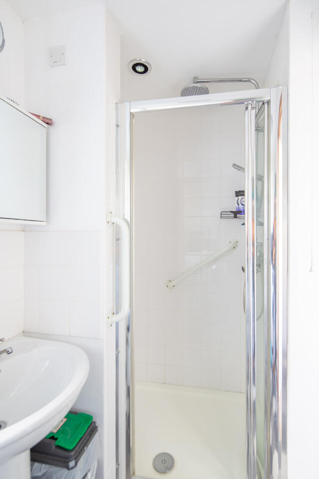 Utility-cum-shower