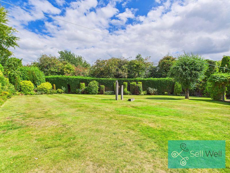 Back Garden