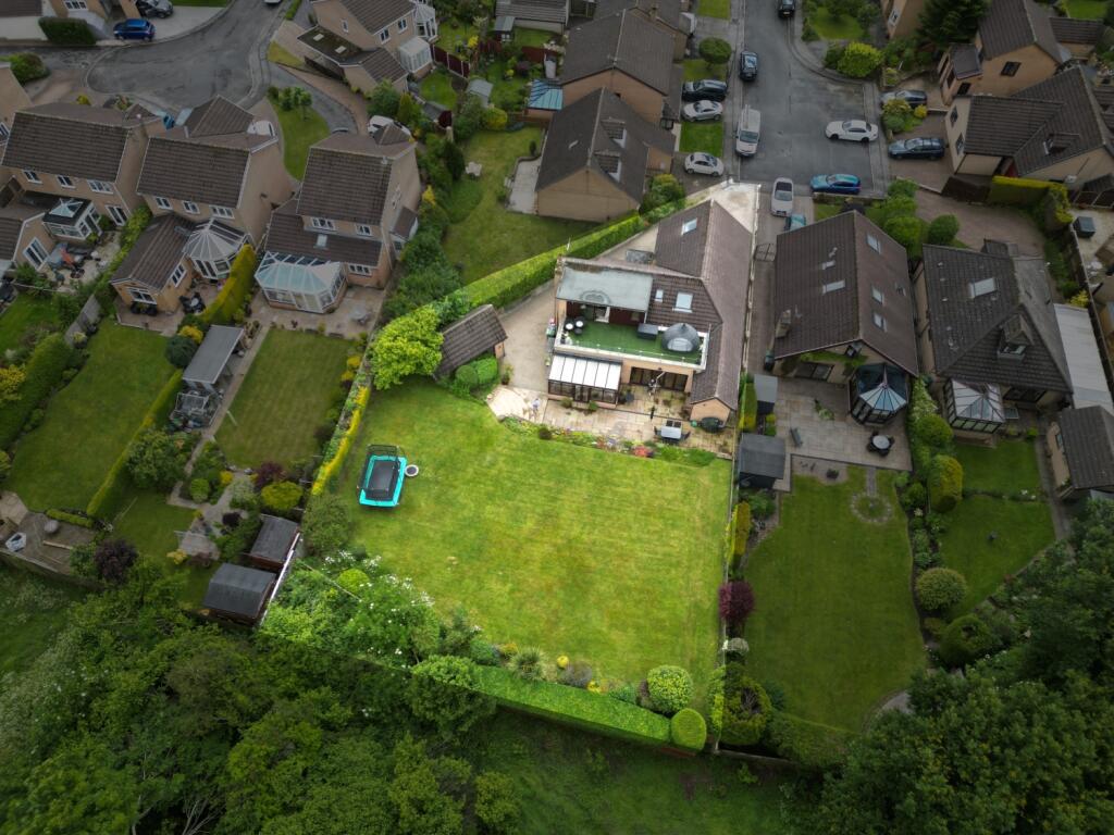 DJI_0390