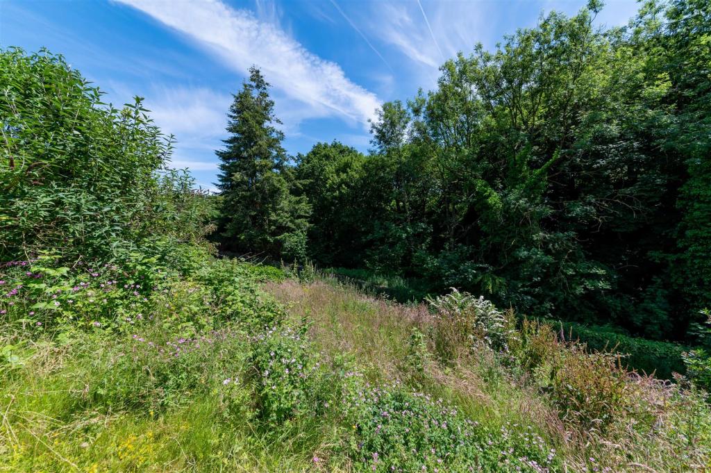 Wild flower garden.jpg