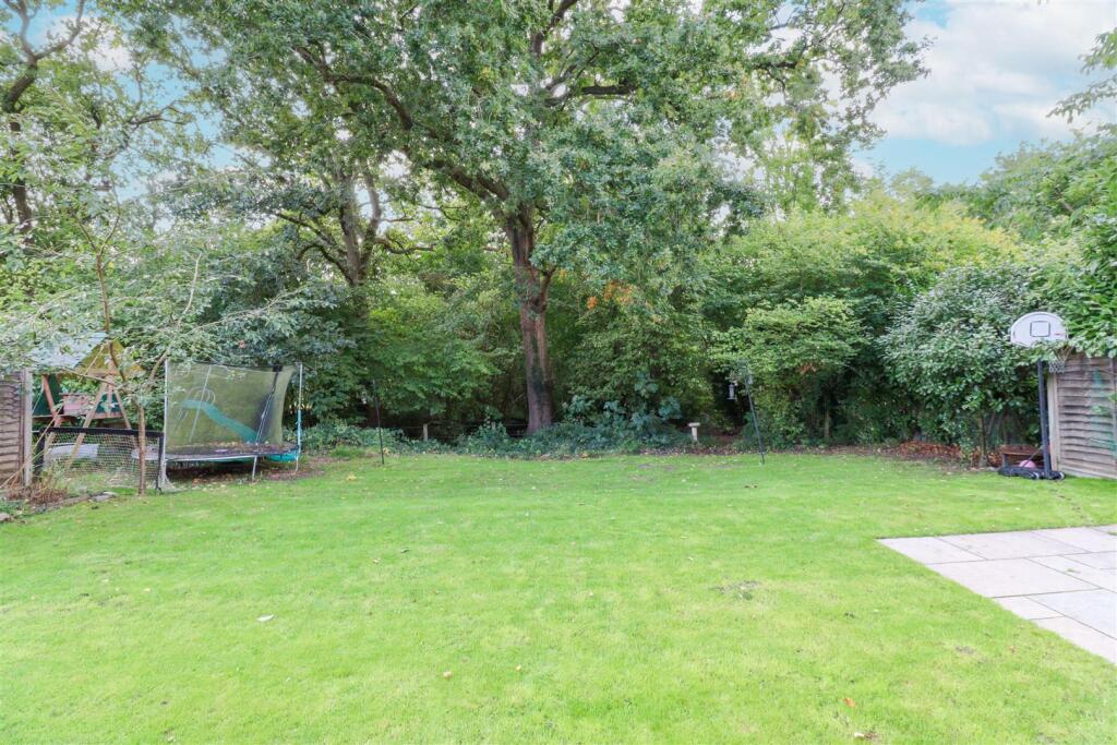 Garden Open Plan To Nature Reserve