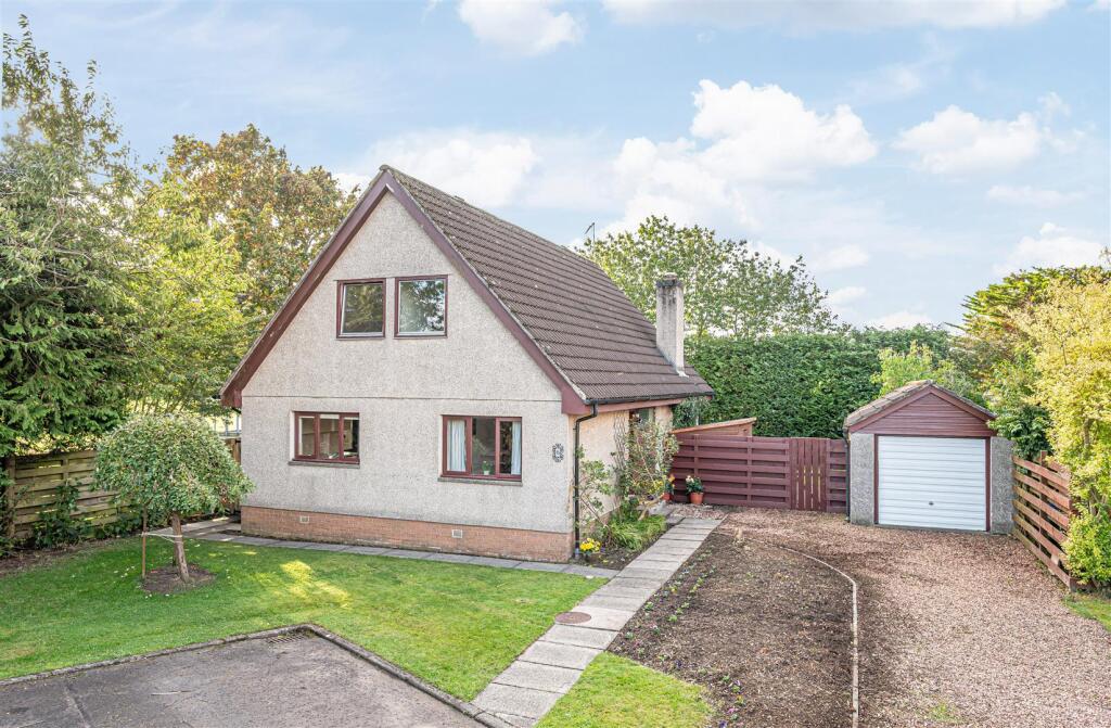 untitled (2 of 1).JPG