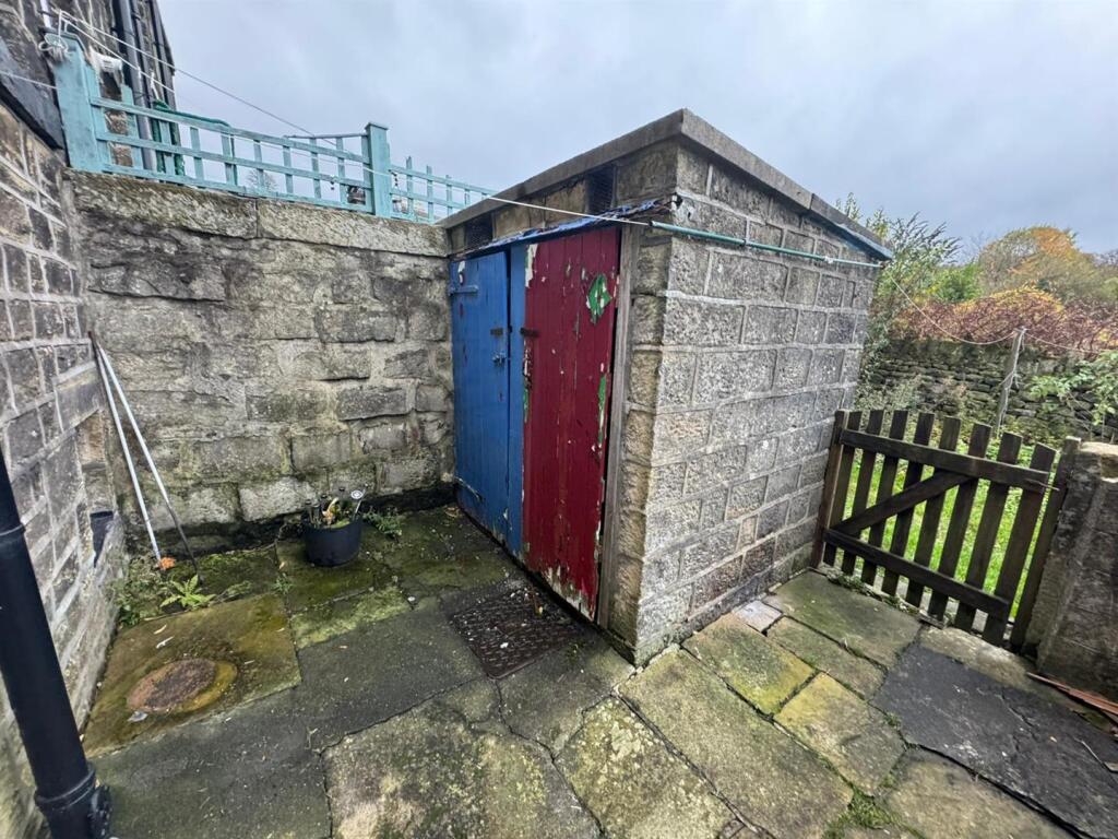 Rear Yard