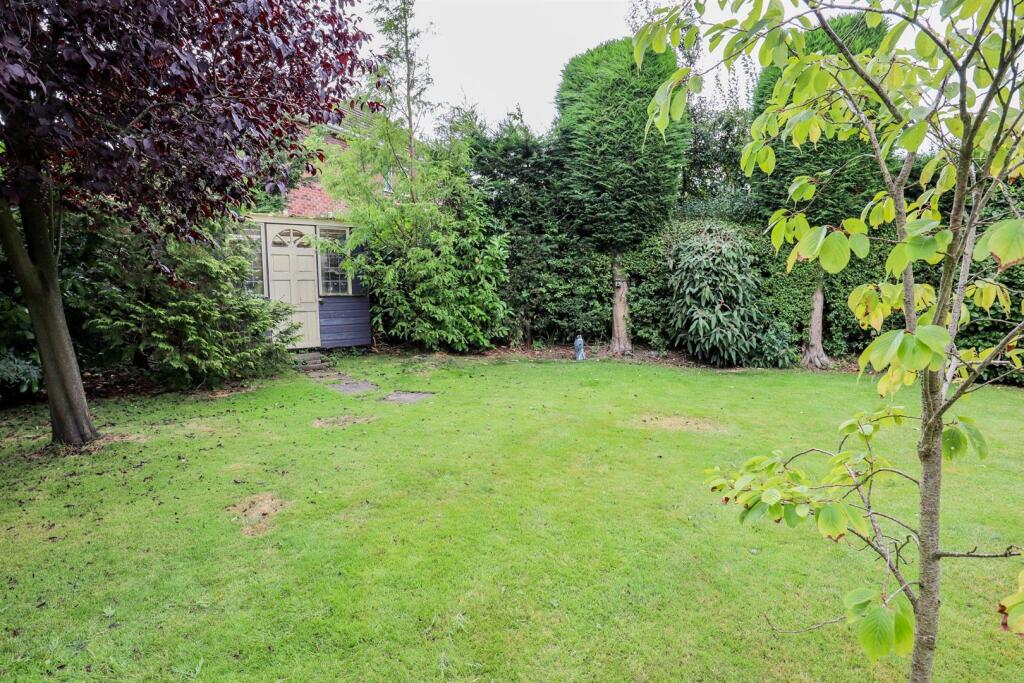 Garden (3).jpg