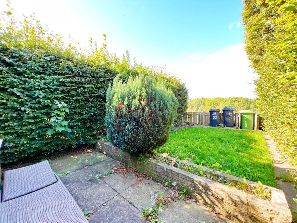 Garden pic 1.jpg