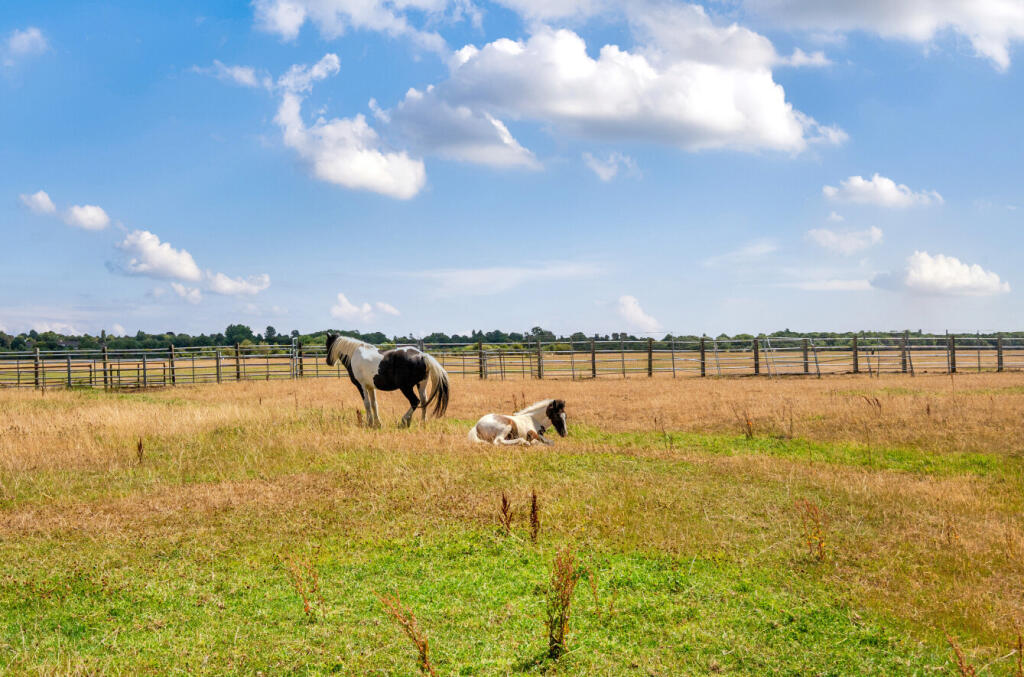 Port Meadow