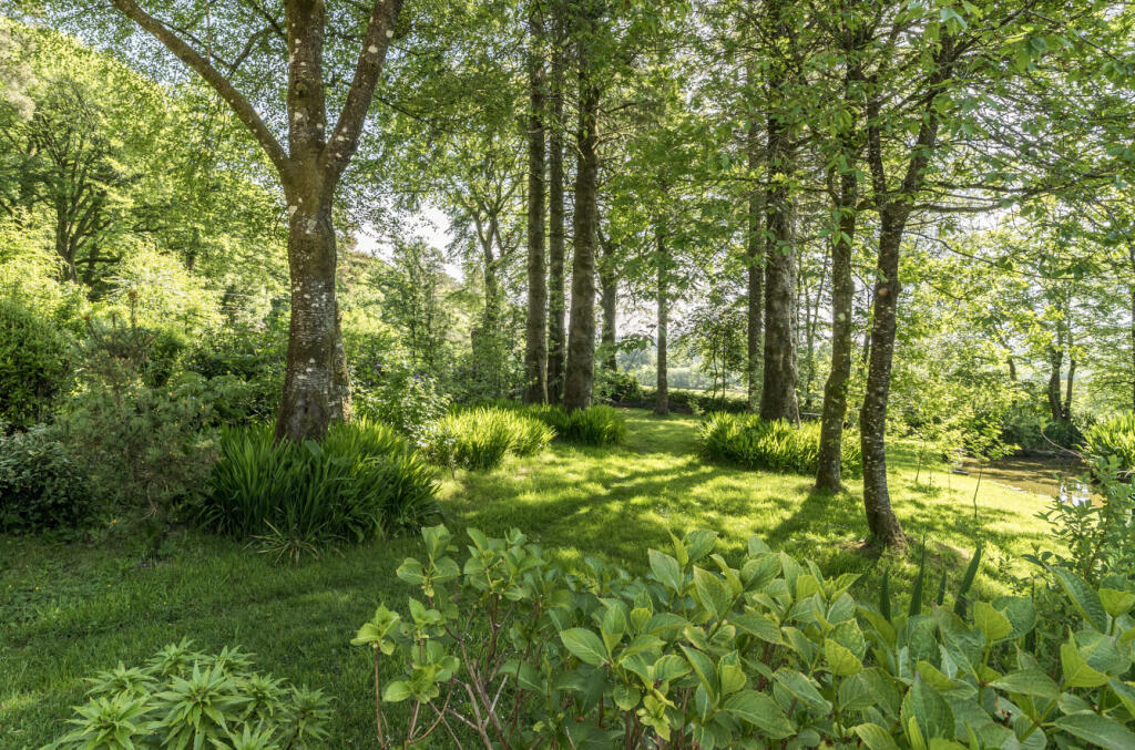 Woodland/Garden