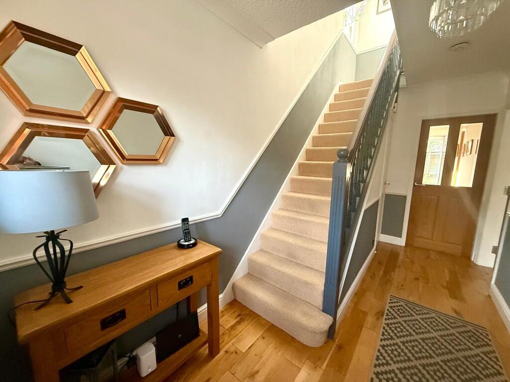 WhatsApp Image 20...