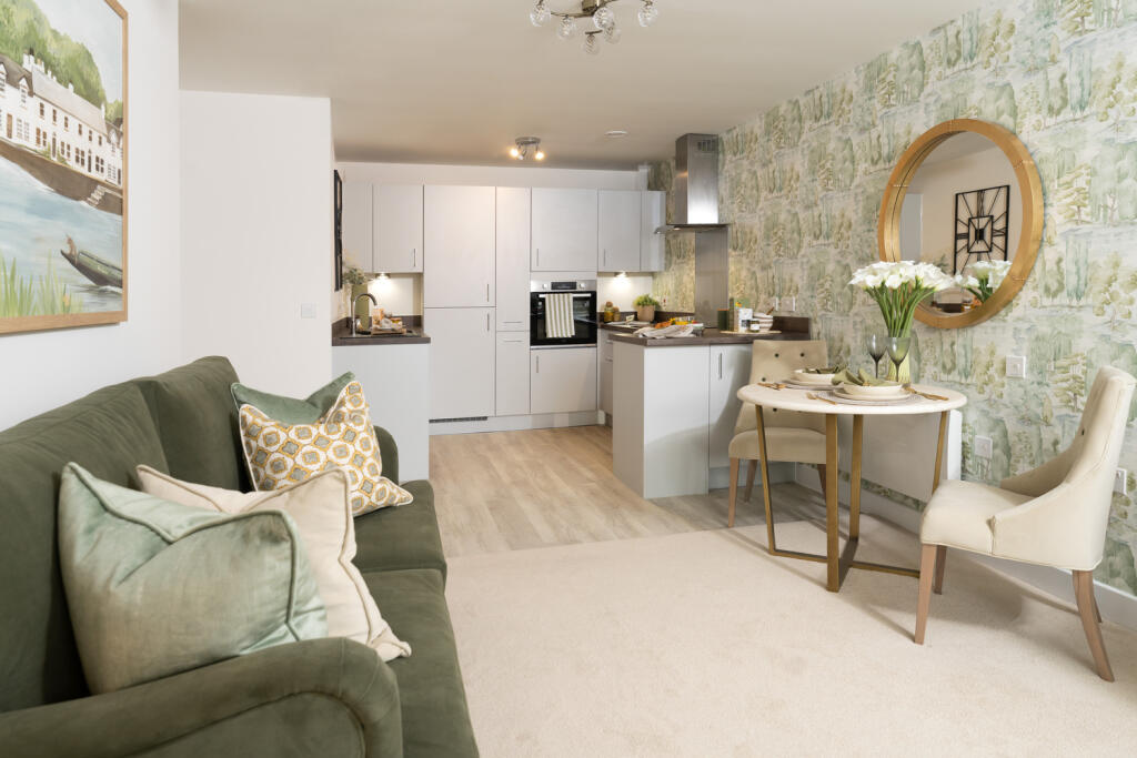 Show home living room