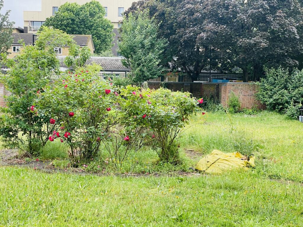 Communal Garden