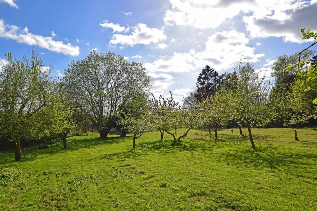 Ridgeway, garden orchard d.jpg