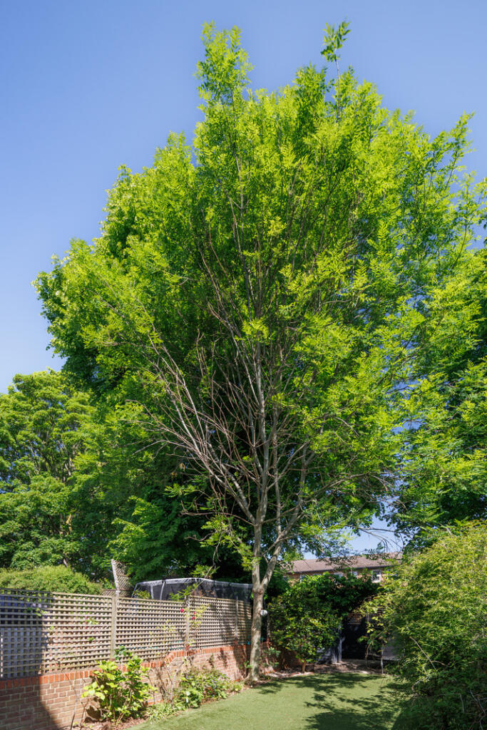 286315 - MontagueRdLondonE8-JSouteyrat-9086.jpg