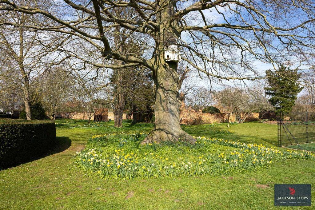 Grounds