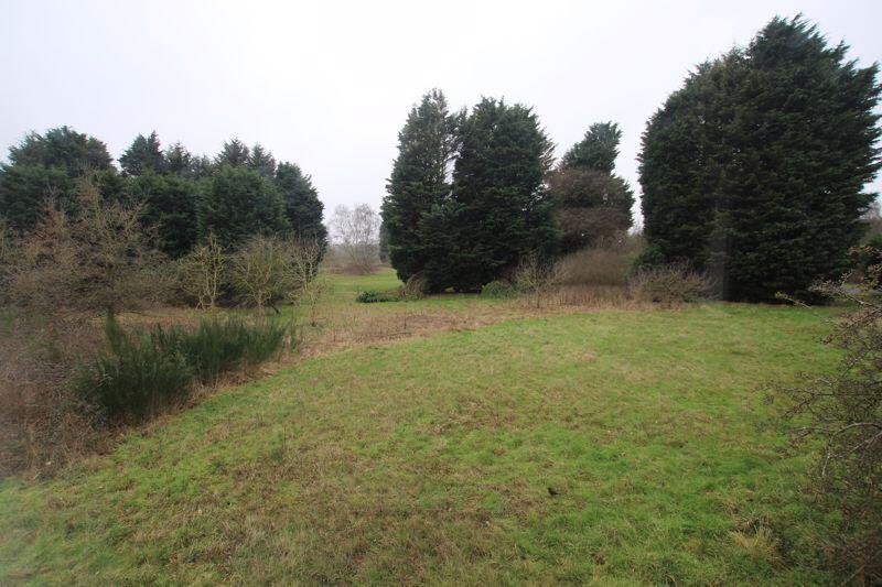 Grounds