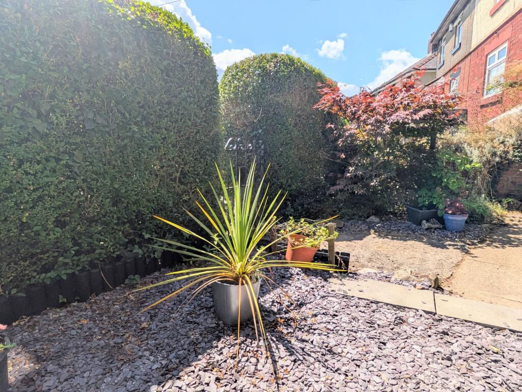 PXL_20250702_112051801~2