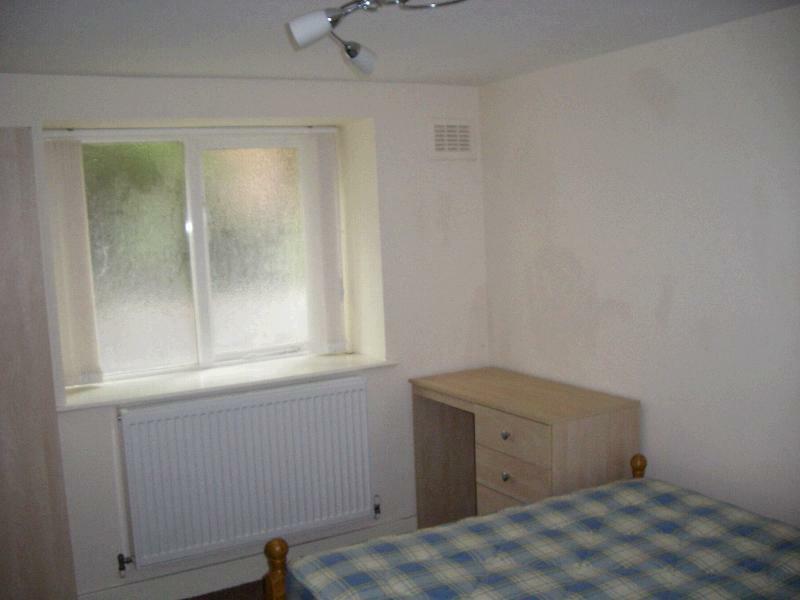 Photograph 4
