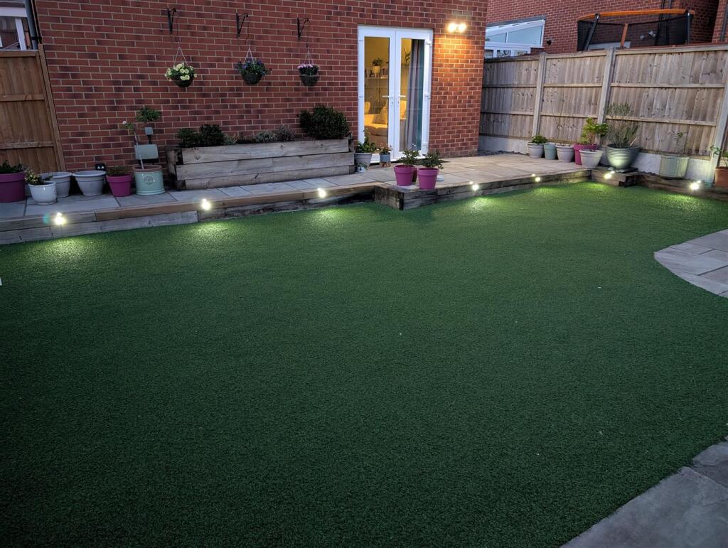 Night garden shot.jpg