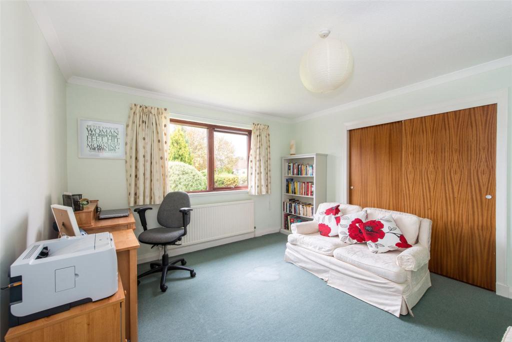 Living Room/Bedroom