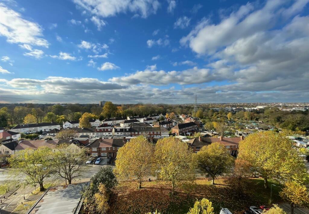 View.jpg
