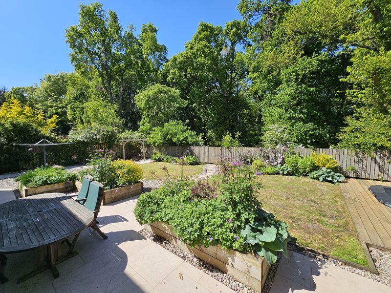 Patio &amp; Back Garden