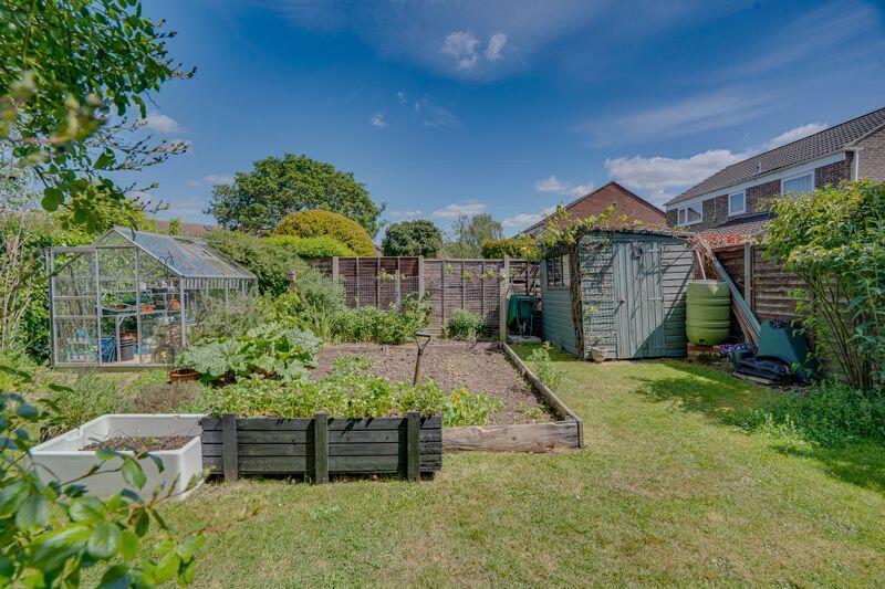 Vegetable garden picture 1