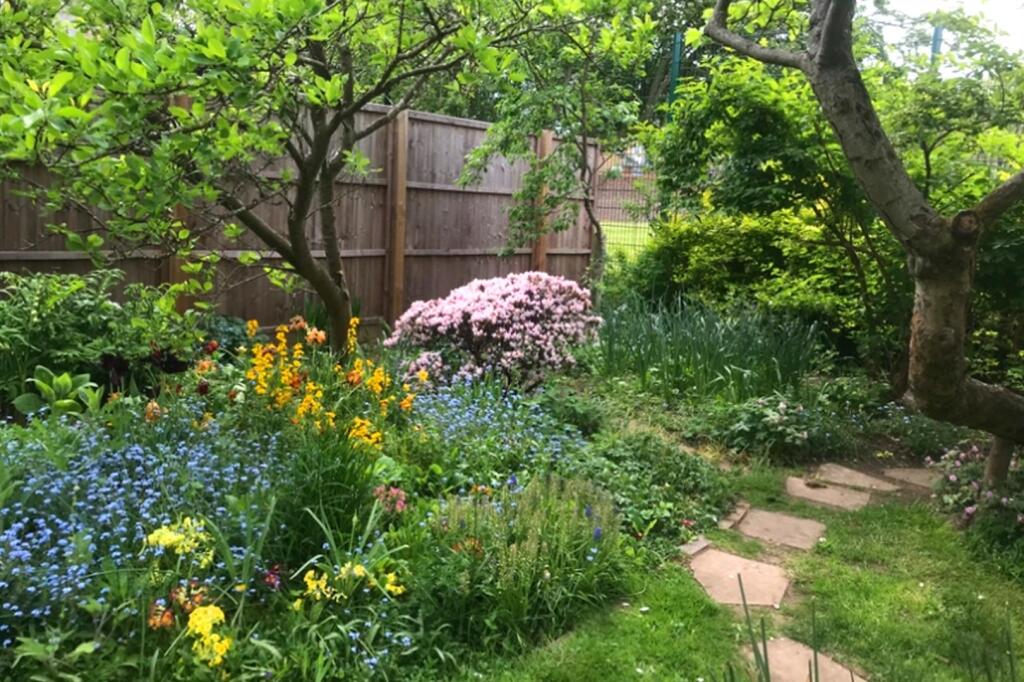 thumbnail_32HazelmereRd_Garden4.jpg