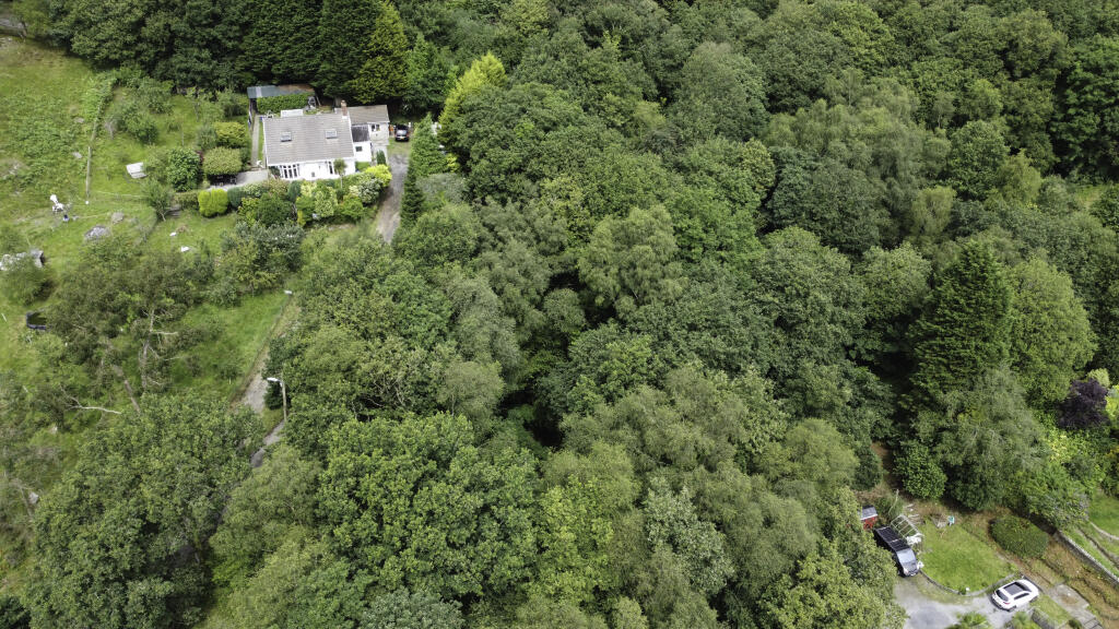 Woodland.