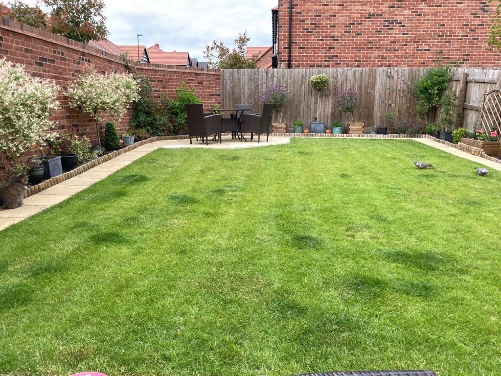 Summer Garden
