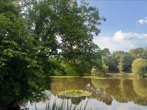 Kingsley Pond