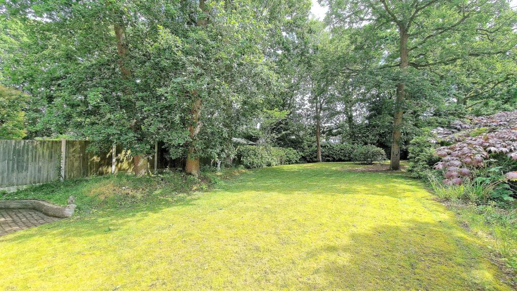 garden 3.jpg