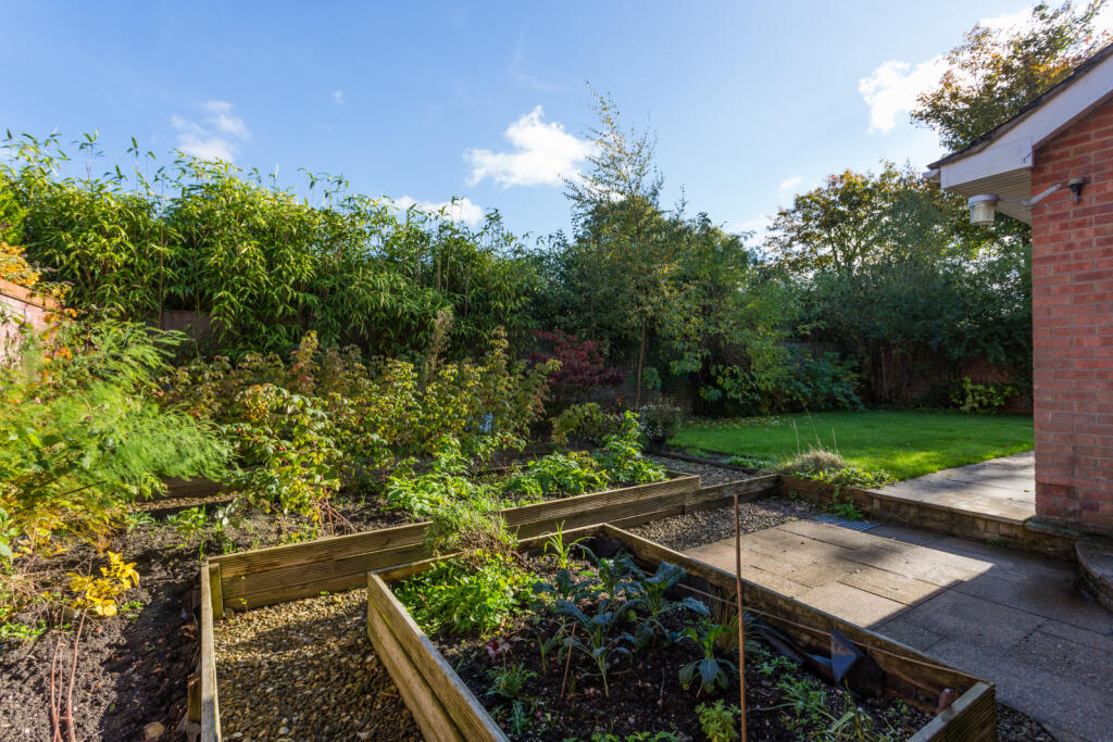 Vegetable Garden